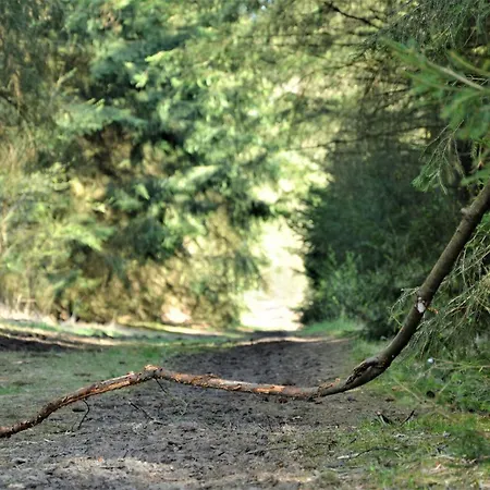 Kleines Rehedyk 3* Sankt Michaelisdonn
