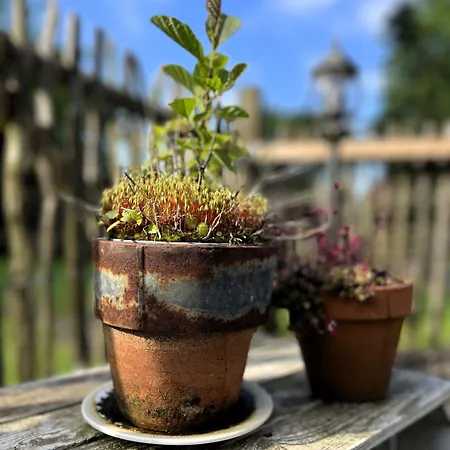 Rehedyk Sankt Michaelisdonn