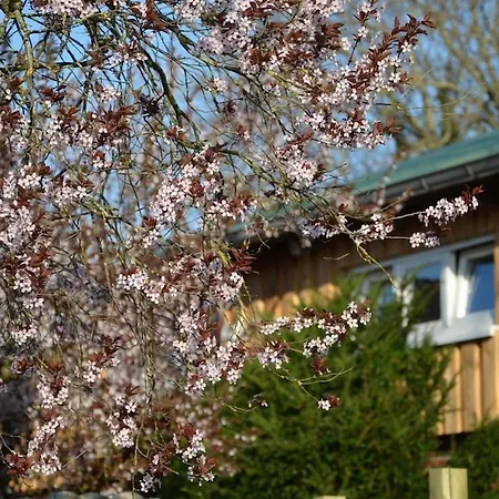 Kleines Rehedyk Bed and breakfast Sankt Michaelisdonn
