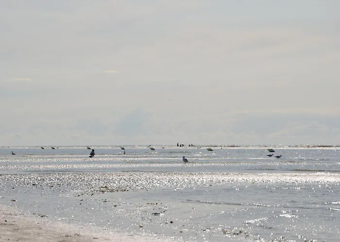 Bed & Breakfast Rehedyk 3*