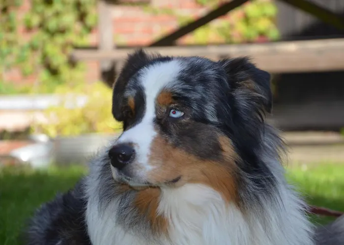 Rehedyk Bed & Breakfast