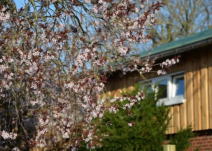 Rehedyk Bed & Breakfast Sankt Michaelisdonn